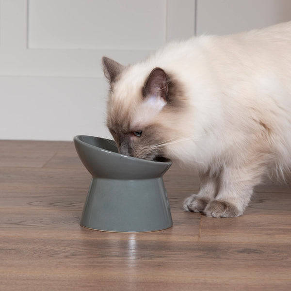 Scruffs Classic Raised Cat Feeder Bowl - Grey