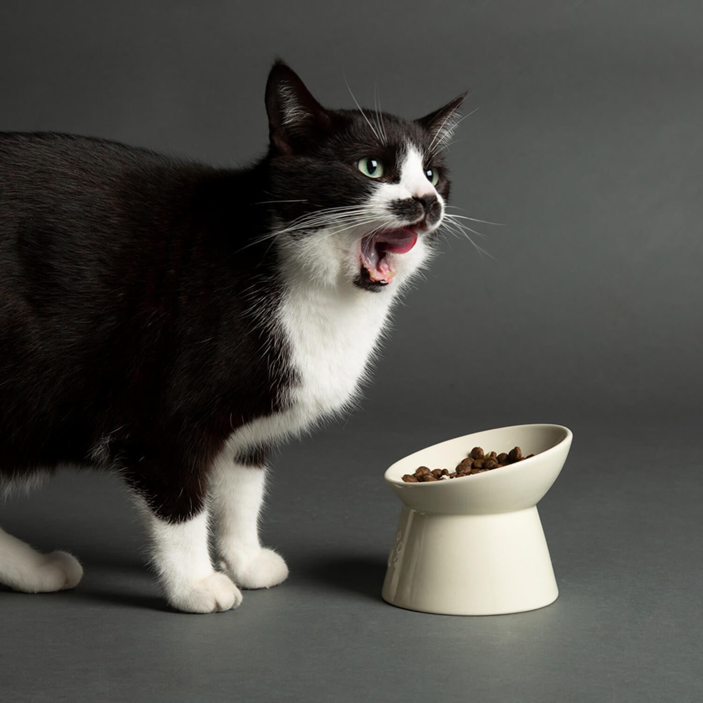Cat Silicone Feeding Bowl Set (2 Pieces, 15x15cm, Beige) - Wide Flat Dish To Protect Cat's Whiskers & Beard - View #7
