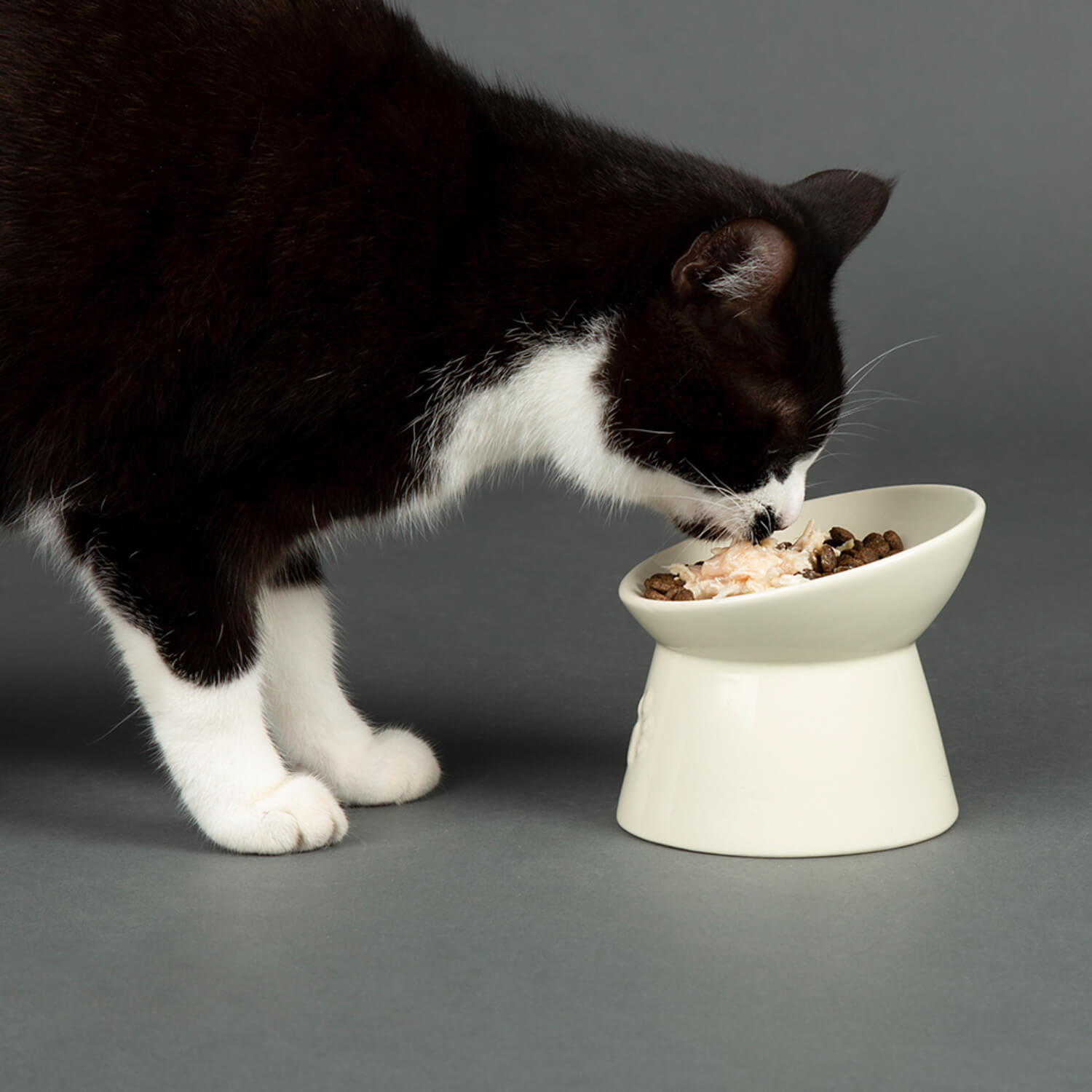 Buy Scruffs Icon 12cm Stoneware Raised Cat Food Bowl Cream