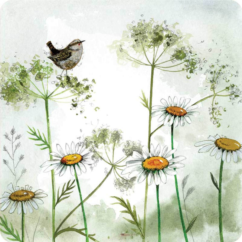 Alex Clark Coaster - Wren & Cow Parsley