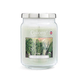Wax Lyrical Colony Large Scented Candle Jar - Herb Garden