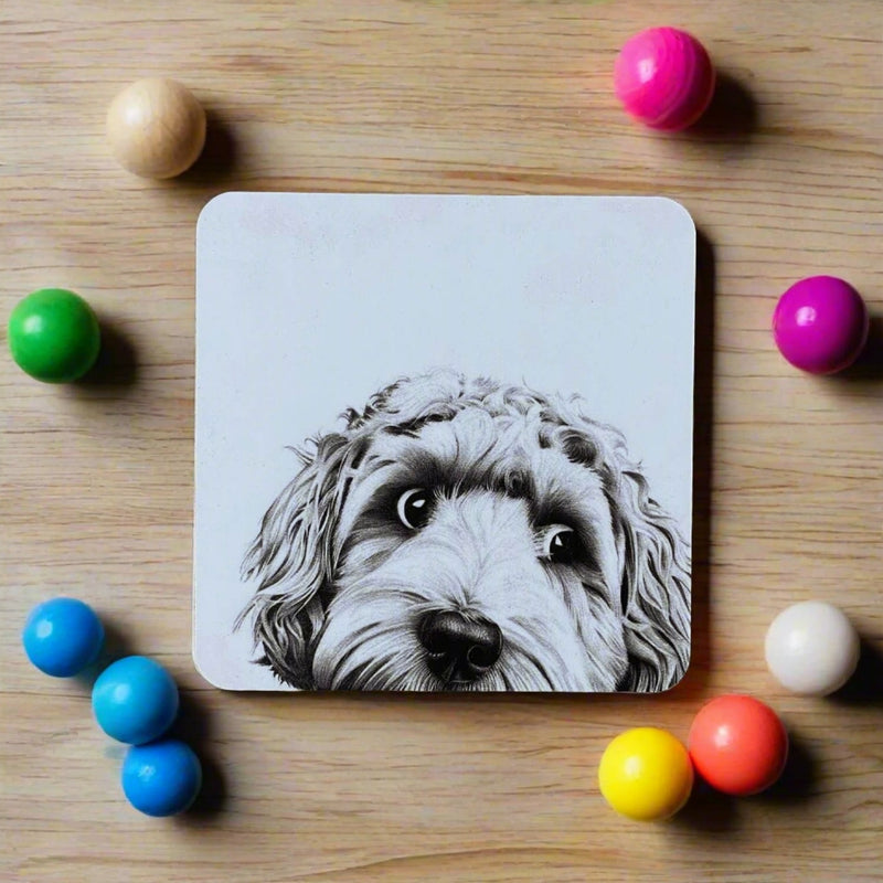Buy Katherine Sheard | Coaster - Dino Cockapoo – Potters Cookshop