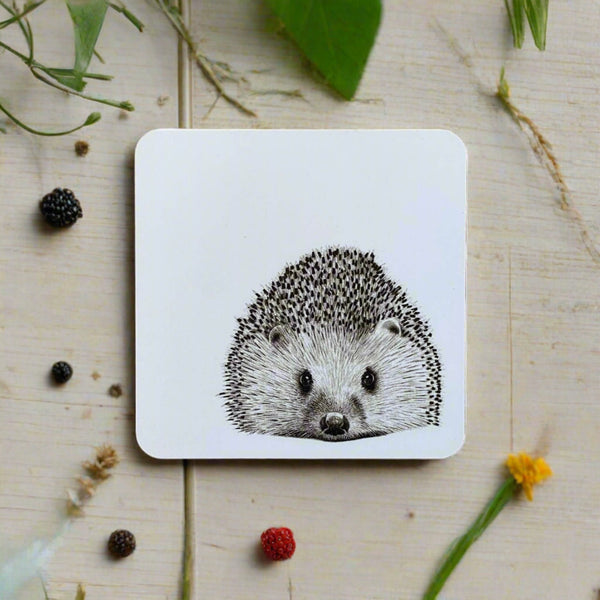 Katherine Sheard Coaster - Henry Hedgehog