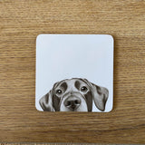 Katherine Sheard Coaster - Lenny Labrador