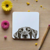 Katherine Sheard Coaster - Lenny Labrador