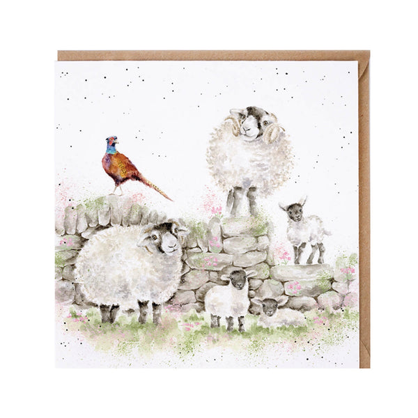 Wrendale Designs By Hannah Dale Card - Green Pastures - Sheep