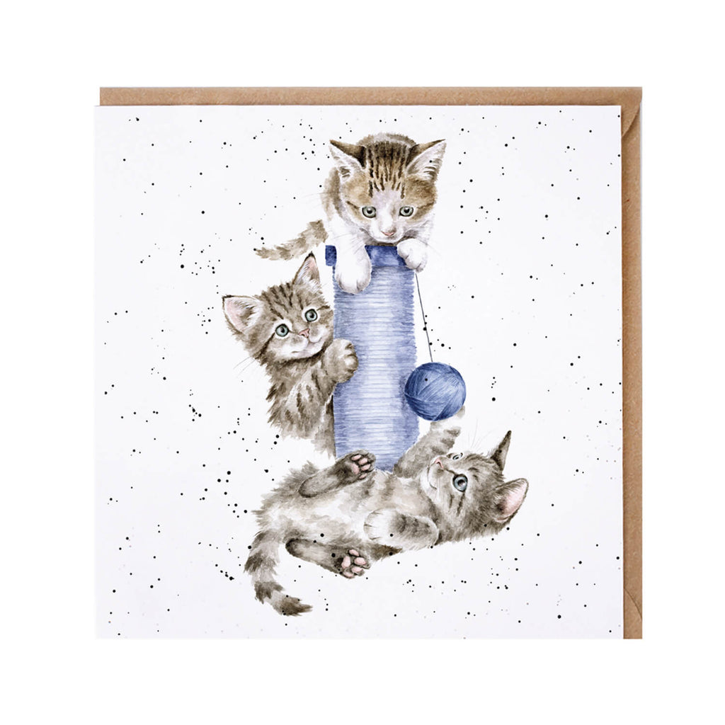 CS243-Wrendale-Designs-by-