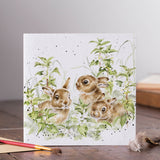 Wrendale Designs by Hannah Dale Card - Spring Hares