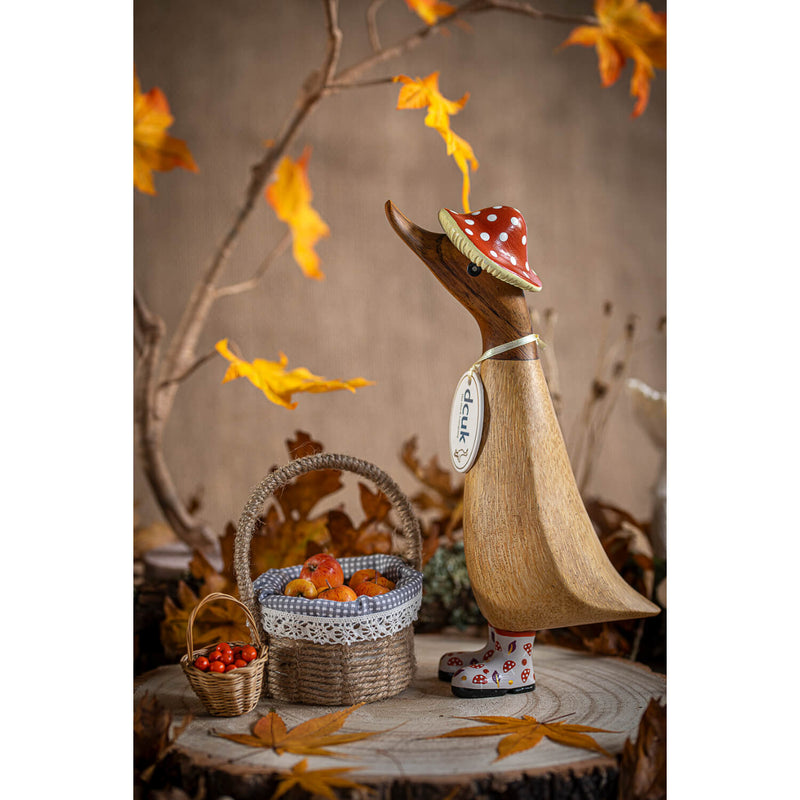 DCUK Autumn Days Duckling - Assorted