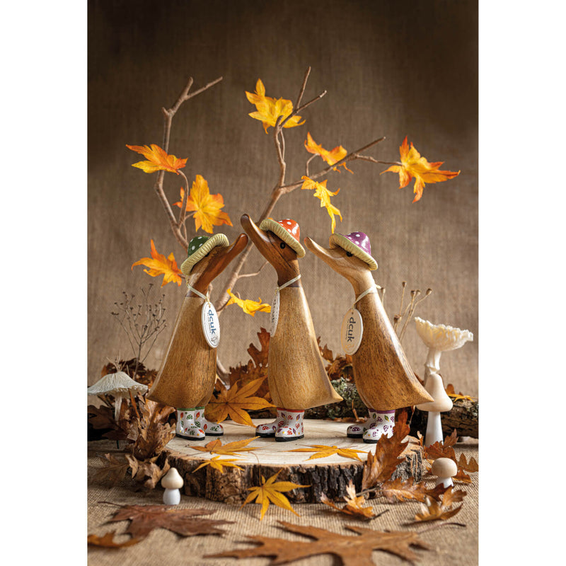 DCUK Autumn Days Duckling - Assorted