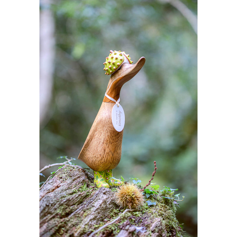 DCUK Woodland Folk Duckling - 2 Designs