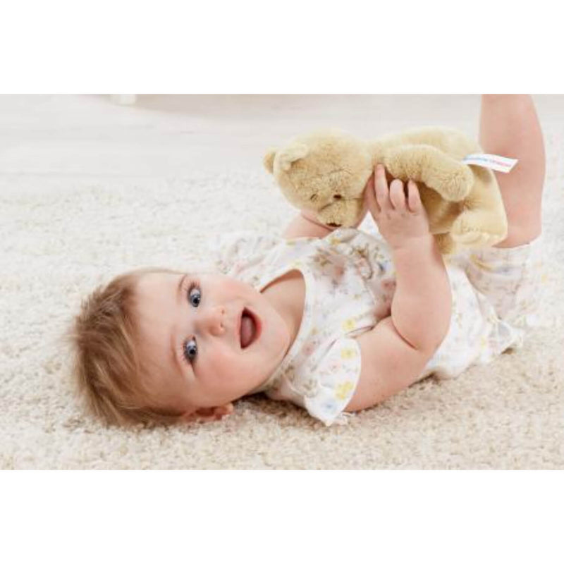 Classic Pooh Hundred Acre Wood Soft Toy - Winnie The Pooh