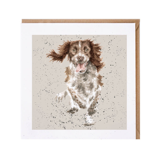 Wrendale Designs by Hannah Dale 'Springer Spaniel' Card - Skye