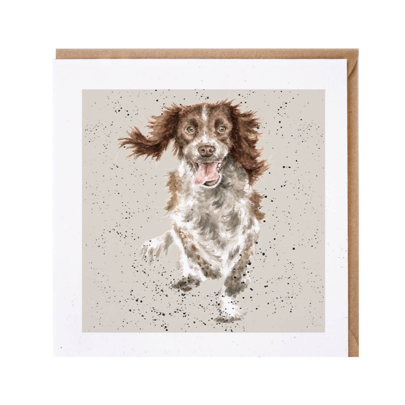 Wrendale Designs by Hannah Dale 'Springer Spaniel' Card - Skye