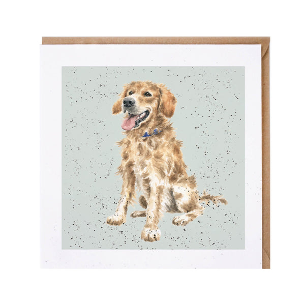 Wrendale Designs by Hannah Dale Golden Retriever Card - Alfie