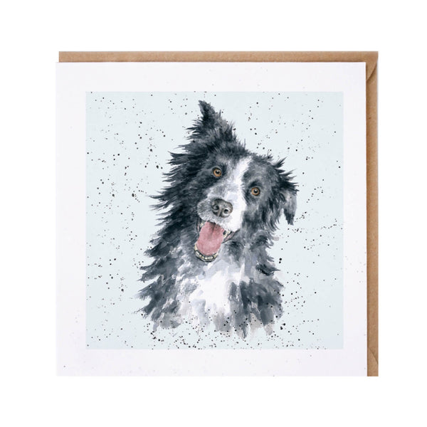 Wrendale Designs by Hannah Dale Border Collie Card - Jess