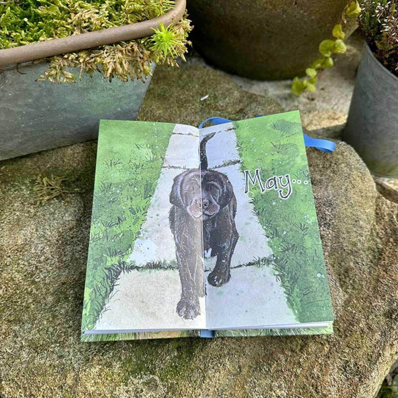Alex Clark 2025 Pocket Diary - Delightful Dogs