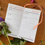 Alex Clark 2027 Pocket Diary - Charismatic Cats