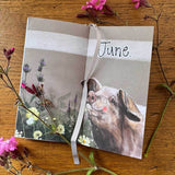Alex Clark 2027 Pocket Diary - Little Things In Life