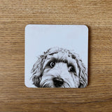 Katherine Sheard Coaster - Dino Cockapoo