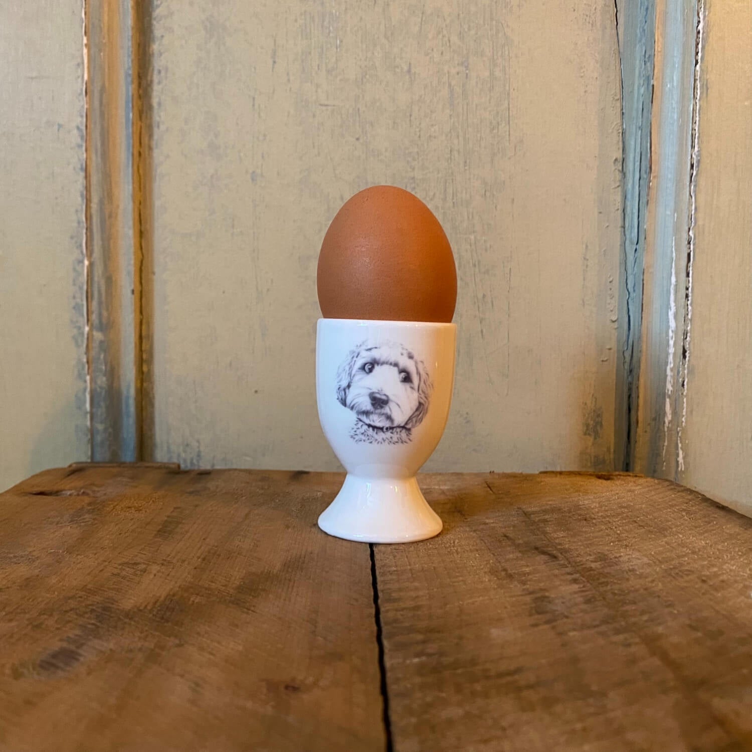 Buy Katherine Sheard | Fine China Egg Cup - Dino Cockapoo – Potters ...