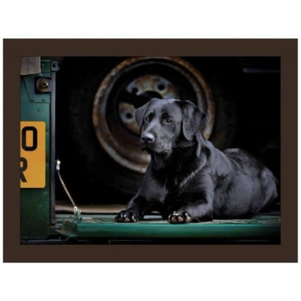 iStyle Rural Roots Faux Leather Cushioned Rectangular Lap Tray - Bella The Black Labrador