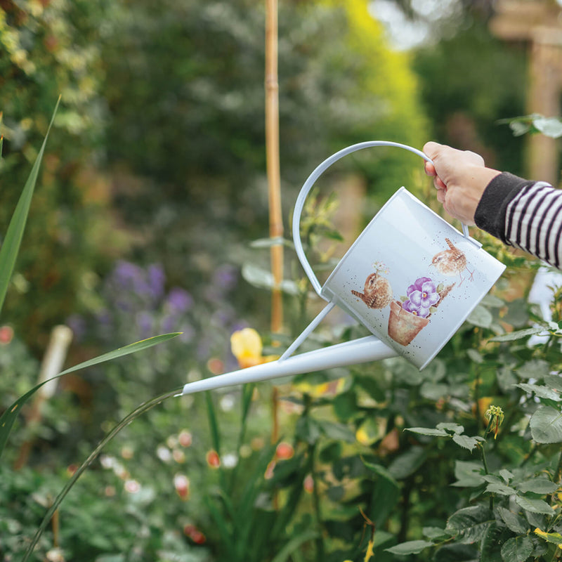 Wrendale Designs by Hannah Dale Wren Watering Can - Pottering About