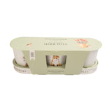 Wrendale Designs by Hannah Dale Set of 3 Herb Pots & Tray - Woodland
