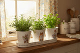 Wrendale Designs by Hannah Dale Set of 3 Herb Pots & Tray - Woodland