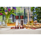 Cole & Mason Gourmet Precision+ 19cm Derwent Salt & Pepper Mill Set - Chestnut