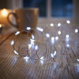 Premier MicroBrights 2.5 Metre 50 LED Battery Operated Indoor/Outdoor Multi Action Lights - White