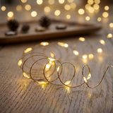 Premier MicroBrights 2.5 Metre 50 LED Battery Operated Indoor/Outdoor Multi Action Lights - Warm White