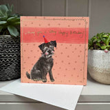 Alex Clark Birthday Card - Border Terrier