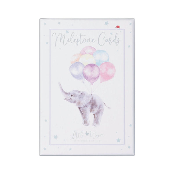 Wrendale Designs by Hannah Dale Little Wren Milestone Cards