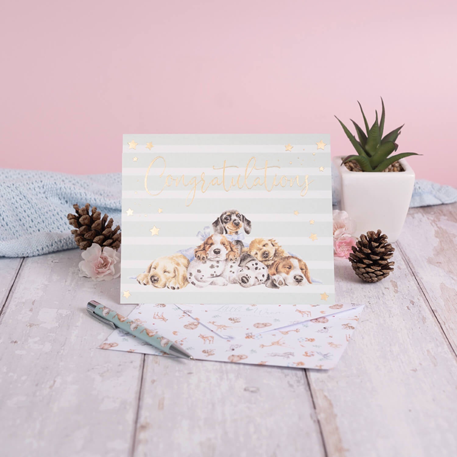 Buy Wrendale Designs | Little Wren Card - Little Paws-Congratulations ...