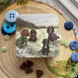 Alex Clark Small Square Tin - Winter Coats
