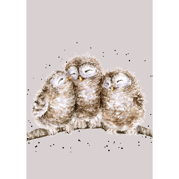 Wrendale Designs by Hannah Dale A6 Notebook - Owlets - Owl