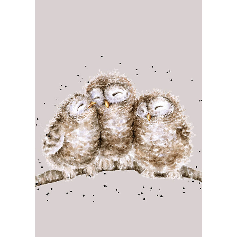 Wrendale Designs by Hannah Dale A6 Notebook - Owlets - Owl