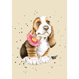 Wrendale Designs by Hannah Dale A6 Notebook - Just For You - Basset Hound