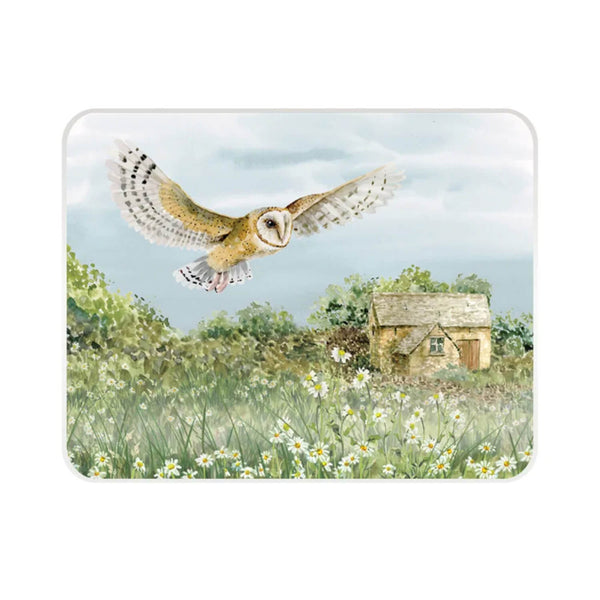 National Trust Medium Glass Worktop Protector - Barn Owl