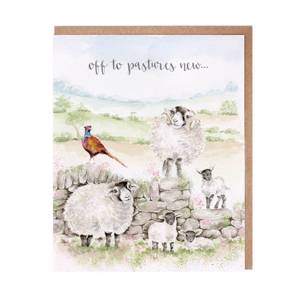 Wrendale Designs by Hannah Dale 'Pastures New' Card - Sheep