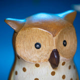 DCUK Spotty Owl - Assorted