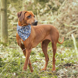 Wrendale Designs by Hannah Dale Dog Bandana - M/L