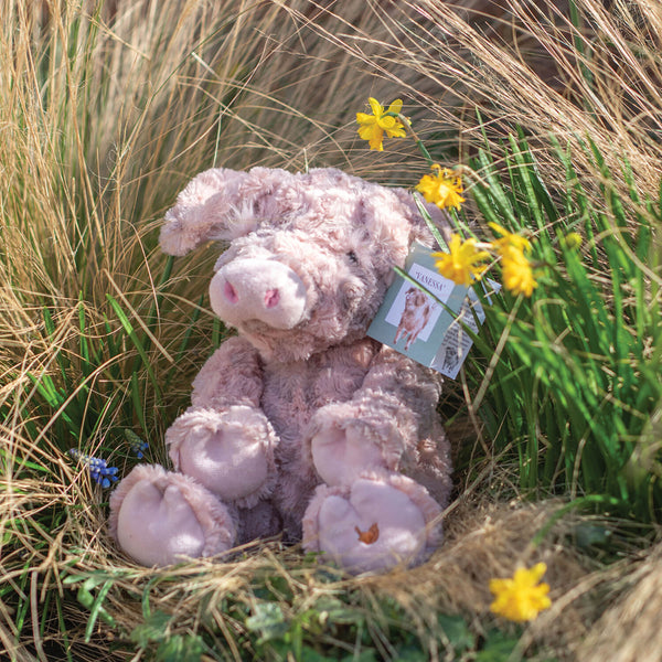 Wrendale Designs by Hannah Dale Plush Toy - Vanessa Pig