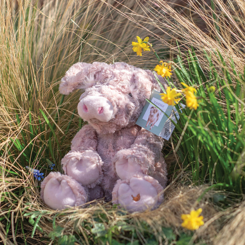 Wrendale Designs by Hannah Dale Plush Toy - Vanessa Pig