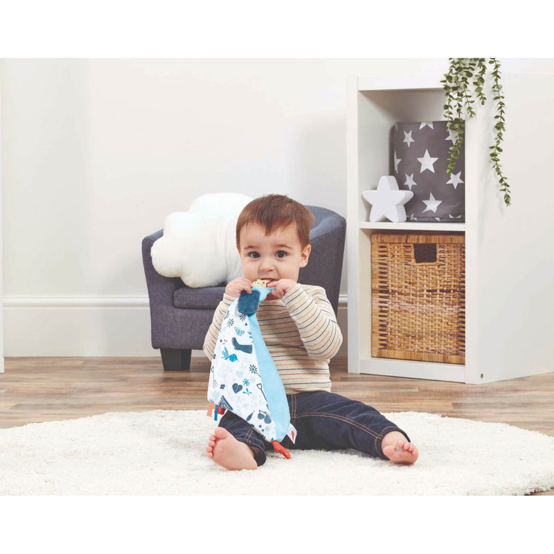 Peter Rabbit Developmental Comforter