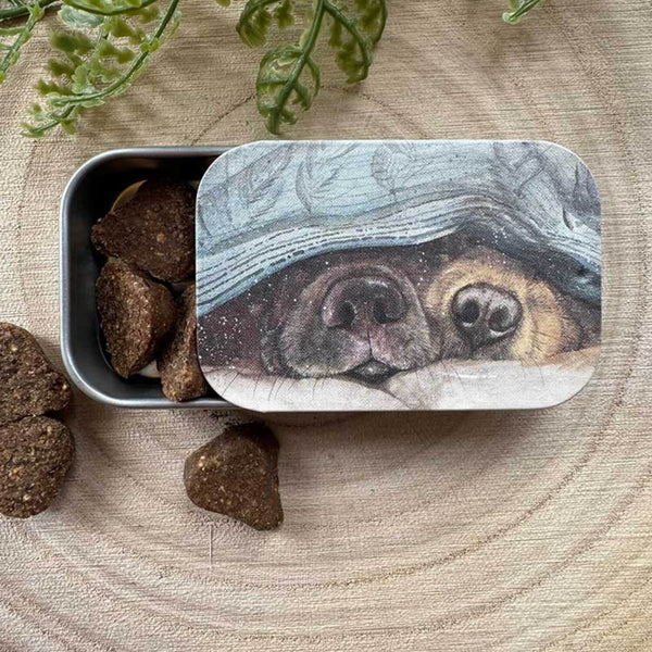 Alex Clark Small Sliding Tin - Snouts