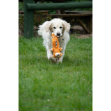 Petface Buddies Rope Monkey Plush Dog Toy