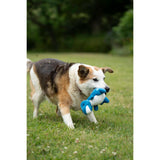 Petface Buddies Baby Dino Plush Dog Toy - Assorted