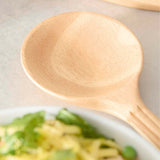 Sur La Table Colour Me Happy 4-Piece Utensil Set With Holder